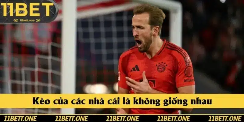 Giữa các nhà cái đều có sự khác nhau về tỷ lệ kèo