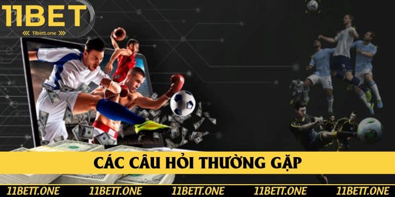 Các câu hỏi thường gặp
