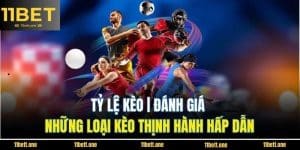 Tỷ Lệ Kèo | Đánh Giá Những Loại Kèo Thịnh Hành Hấp Dẫn
